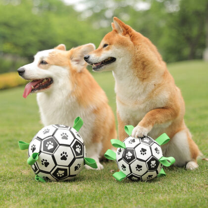 Dog Toy Ball Border Collie Self-Happiness Outdoor Toy Training Special Dog Football Teeth Resistant Pet Supplies Wholesale