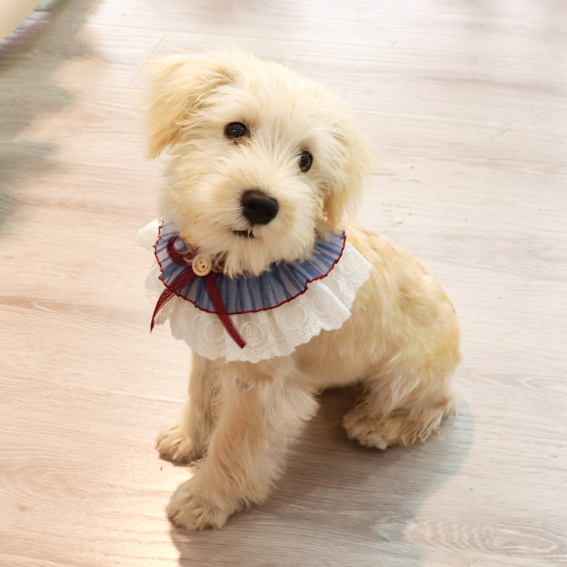 Pet Collar, Cat Saliva Towel, Dog Love Lace Scarf, Bow Flower Pearl Pet Saliva Towel - Image 2