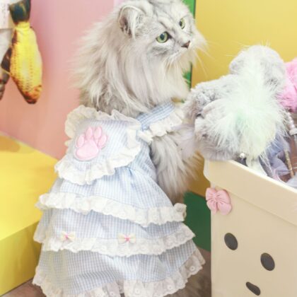 Pet Princess Dress Clothes Pet Dog Dog Clothes Pet Clothing Spring and Summer New Lolita Ins Style Lace