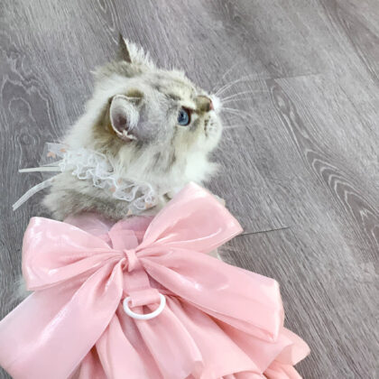 Pet Wedding Dress Dress Cat Clothing Supplies Can Be Hung with Traction Rope Princess Dress Pet Spring and Summer Clothing