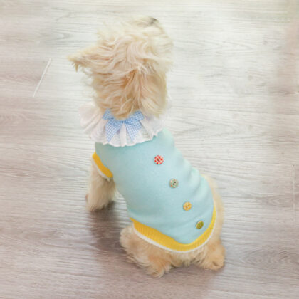 2025 New Autumn and Winter Colorful Knitted Button Pet Sweater Small and Medium Dog Dog Clothing Cat Sweater