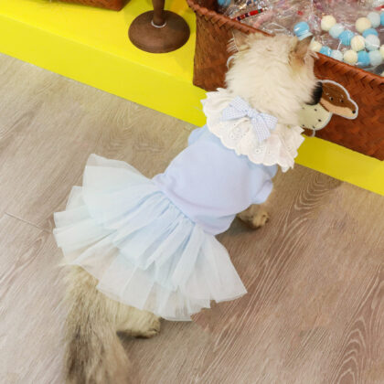 Pet Princess Dress Ready-Made Popular Pet Clothes Cat Clothes Source Factory Direct Sales Spring and Summer Light Gauze Skirt