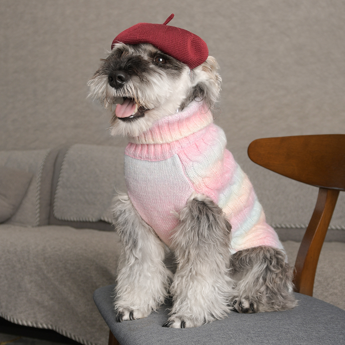 New pet towel warm dog clothes cat autumn and winter warm comfortable two-legged pet sweater puppy sweater