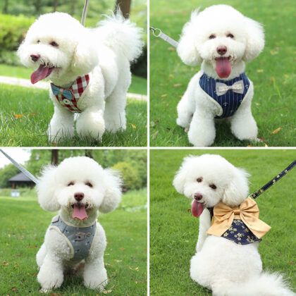 Anti-Breakaway Dog ​​Harness Teddy Pomeranian Dog Leash for Walking the Dog Adjustable Dog Leash