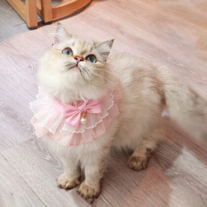 Cute Cat Bib Collar Princess Bow Lace Pet Bib Dog Bib Cat Neck Scarf