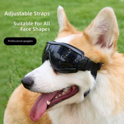 New pet cool glasses UV-resistant adjustable goggles dog sunglasses sunglasses in stock wholesale