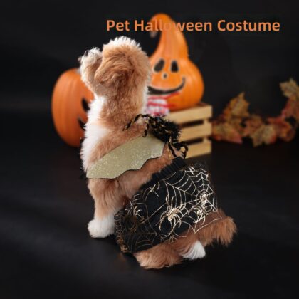 Pet clothing Halloween party dog suit black spider skirt wings suit cross-border explosions wholesale
