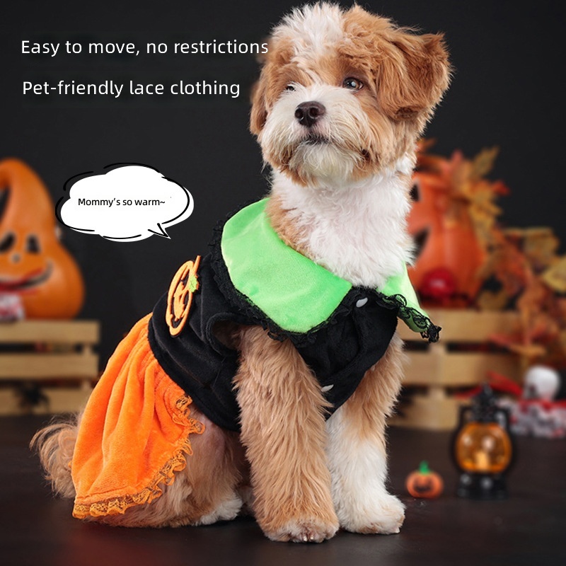 New Halloween Pumpkin Lapel Casual Dog Skirt Shiba Inu Pet Dog Clothes Cross-Border General Wholesale