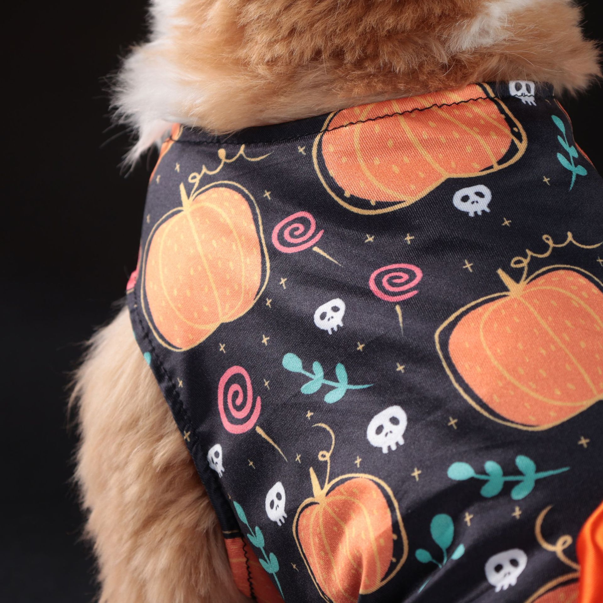 Pet Clothes Halloween Party Pumpkin Pet Dress Teddy Bomei Small Medium Dog Clothes Cross-border Explosions - Image 3