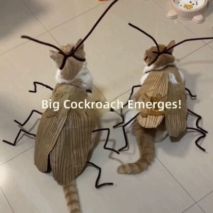 Cat Trendy Cute Pet Clothes Handmade DIY Pure Cockroach Outfit Spicy Striped Cat Clothing Material Kit