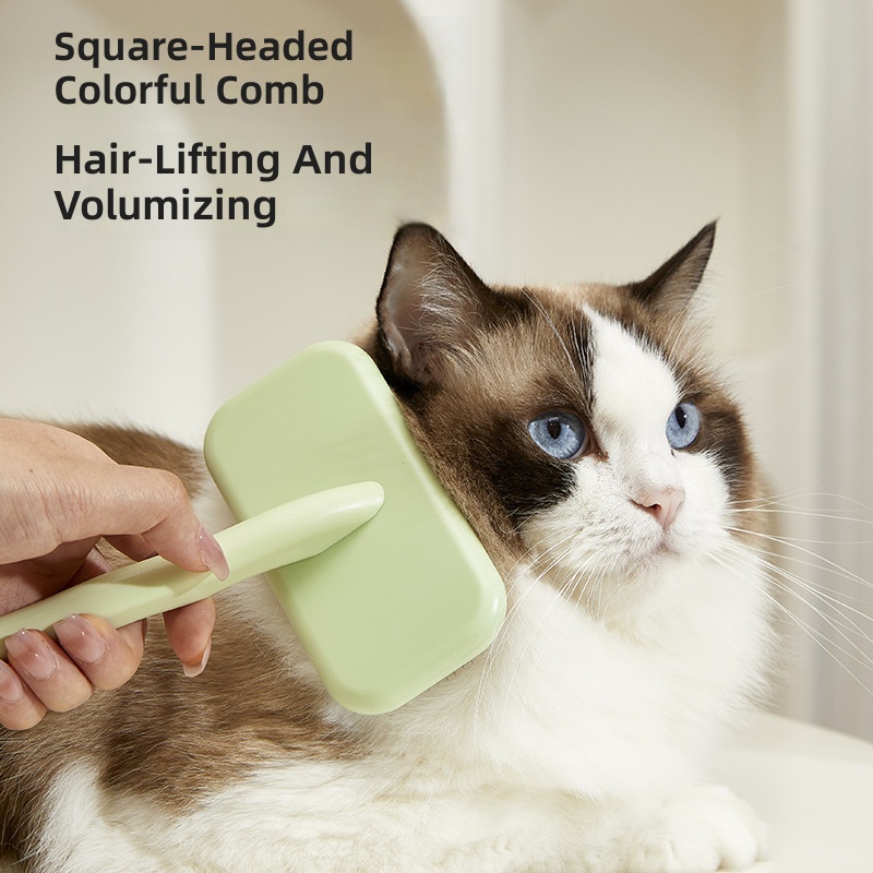 New cat hair comb pet hair brush beauty special dog hair cat needle comb home massage comb in stock wholesale - Image 2