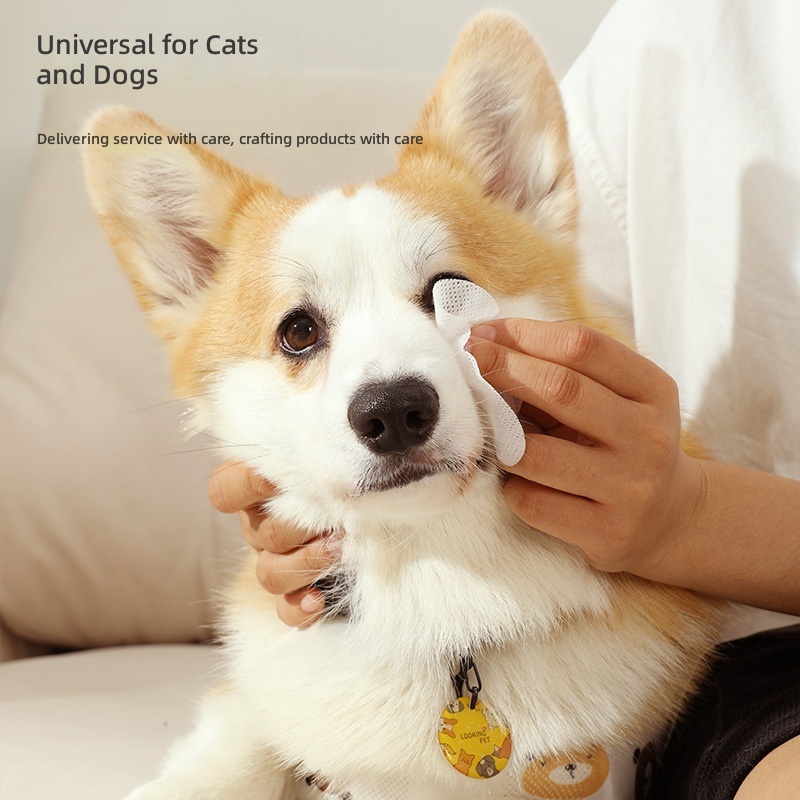 Pet Wipes 200 Pieces Filling Portable Cat and Dog Eye Cleaning Disposable Eye Stain Cleaning for Pets - Image 2