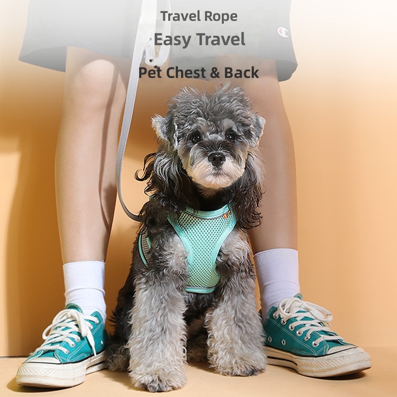 Pet out traction rope medium and small dog chest back high quality reflective dog walking rope cat traction rope cross-border wholesale - Image 3