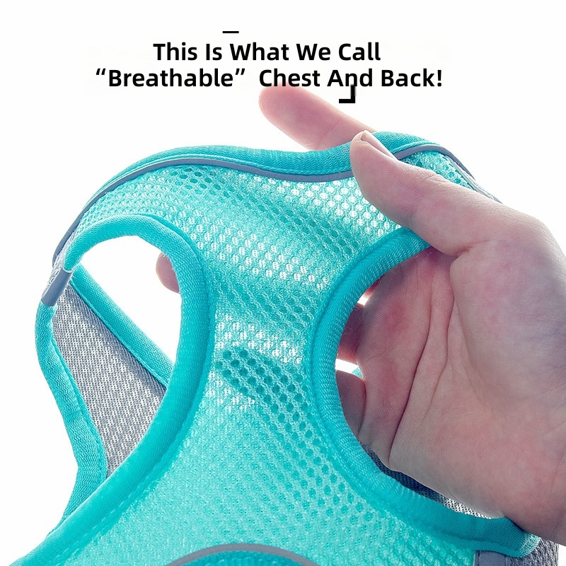 Pet out traction rope medium and small dog chest back high quality reflective dog walking rope cat traction rope cross-border wholesale - Image 4