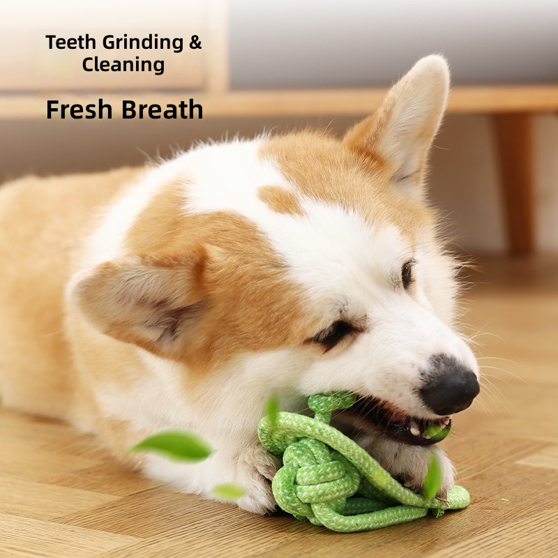 Dog Toy Knot Tug Toy Interactive Pull Bite Rope Molar Large and Medium Small Dog Wool Bite Resistant Rope Knob - Image 2