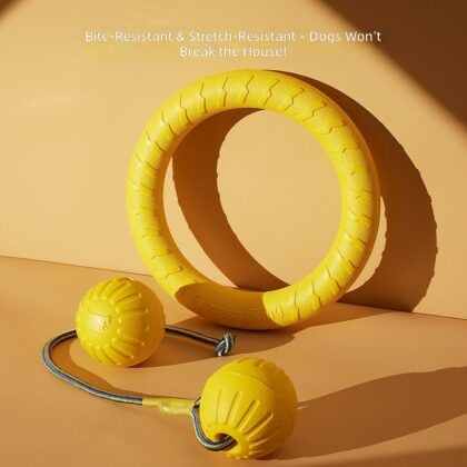 Dog Toy Floating Water with Rope Training Ball Outdoor Dog Training Dog Pull Ring Bite-resistant Molar Pet Ball in stock