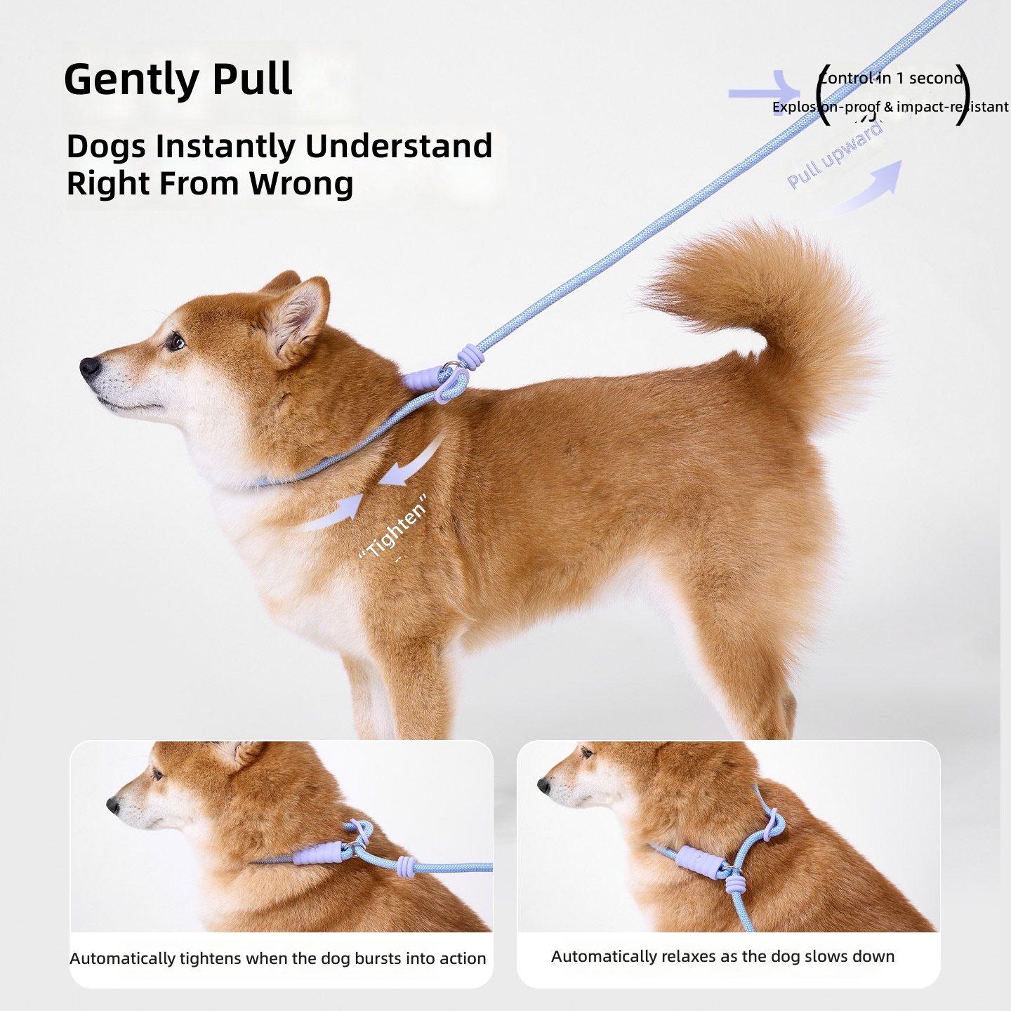 Dog Leash for Small and Medium-Sized Dogs, Anti-Escape, Anti-Tug, Wholesale In-Stock - Image 2