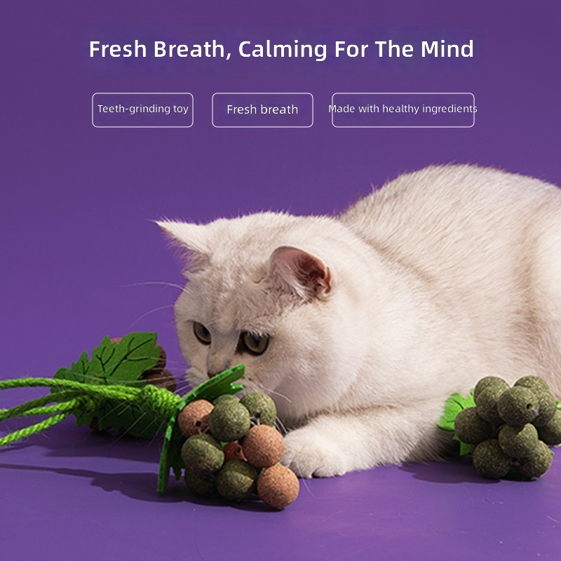 New Cat Toy Cat Grape Sui Sui Xiang Multi-Flavored Cat Mint Teeth Grinding Teeth Cleaning Self-Pleasure Play Pet Toy - Image 2