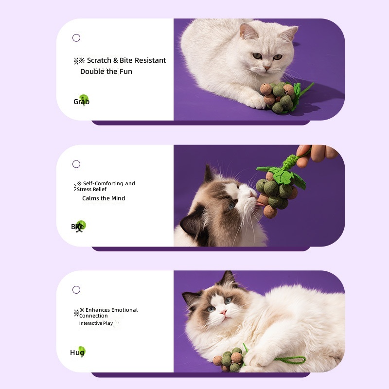 New Cat Toy Cat Grape Sui Sui Xiang Multi-Flavored Cat Mint Teeth Grinding Teeth Cleaning Self-Pleasure Play Pet Toy - Image 4