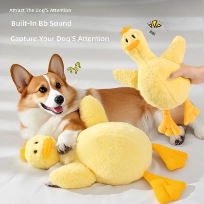Funny Duck Series Dog Toys for Entertainment and Self-Entertainment, Sound-Emitting Pet Toys, Plush Dog Toys, Cross-Border Wholesale