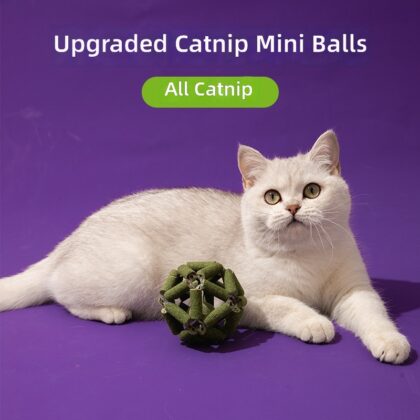 New Licking Catnip Ball Cat Snacks Teeth Cleaning and Molaring Exquisite Ball Cat Supplies Funny Cat Toys Wholesale