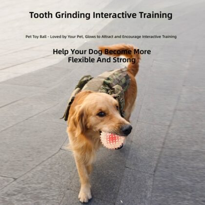 Dog Toy Ball Molar Tooth Cleaning Decompression Relieving Toy Bite Wear-resistant Interactive Elastic Training Pet Ball