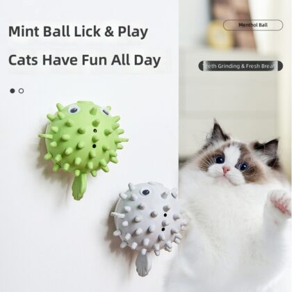 Catnip Ball Sticks to Wall to Fun Cat Toy Pet Teeth Cleaning Bite Resistant to relieve boredom Kitten Kitten Self-hi Cat Supplies
