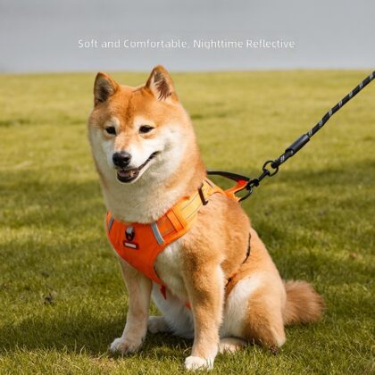 New explosion-proof vest dog traction rope for small and medium-sized dogs Corgi special adjustable chest and back dog walking rope